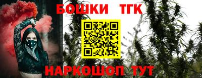 тгк Можга