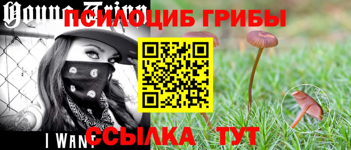 Псилоцибиновые грибы GOLDEN TEACHER Великий Устюг