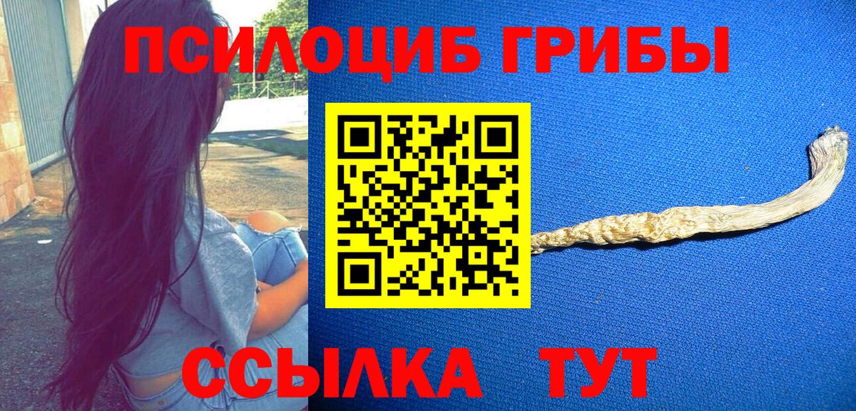 Великий Устюг  Галлюциногенные грибы Psilocybine cubensis  как найти   Псилоцибиновые грибы мицелий  Вход с VPN 